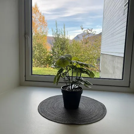 Apartament Hb Homes - The Basement Budget *