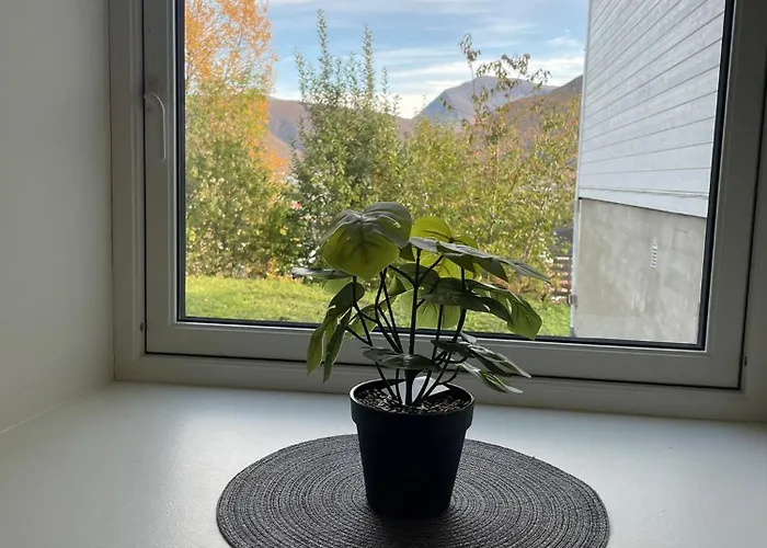 Apartamento Hb Homes - The Basement Budget *