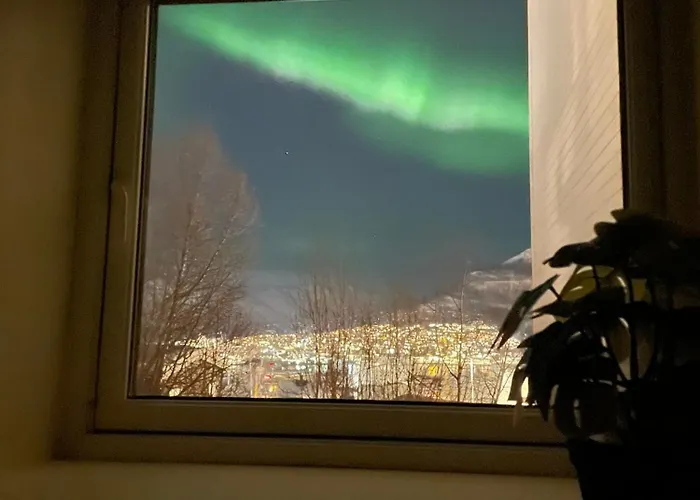 Apartamento Hb Homes - The Basement Budget *